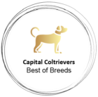 Capital Coltrievers Logo