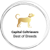 Capital Coltrievers Logo